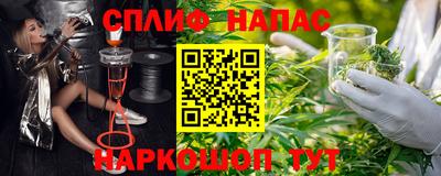 амф Можга