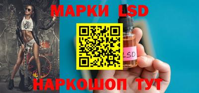 амф Можга