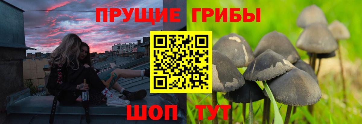 Псилоцибиновые грибы мухоморы  Вход с VPN  Дедовск 
